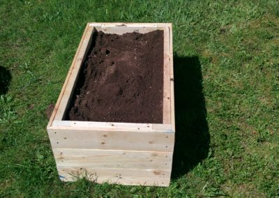 Raspberry box filled with soil